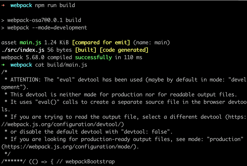 terminal output webpack npm run build