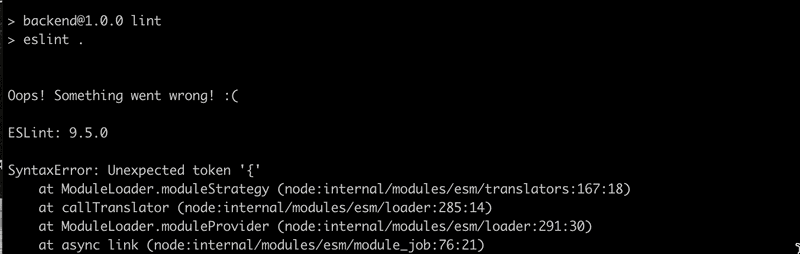 terminal output from npm run lint