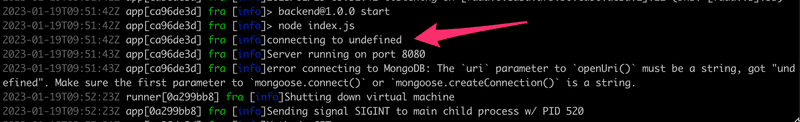 fly.io server log showing connecting to undefined